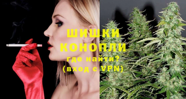 твердый Пересвет