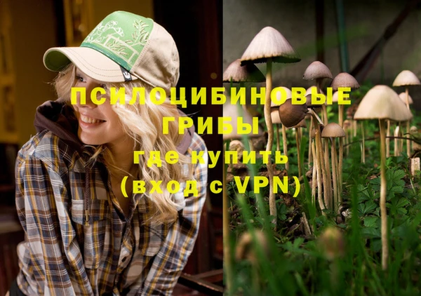 спиды Белоозёрский