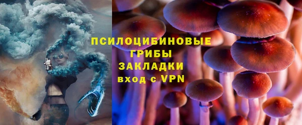 индика Остров