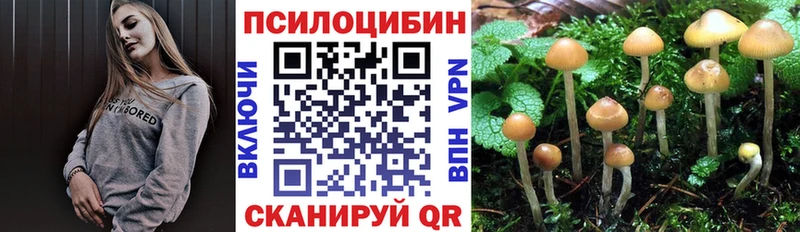 наркота  Борисоглебск  Галлюциногенные грибы GOLDEN TEACHER 