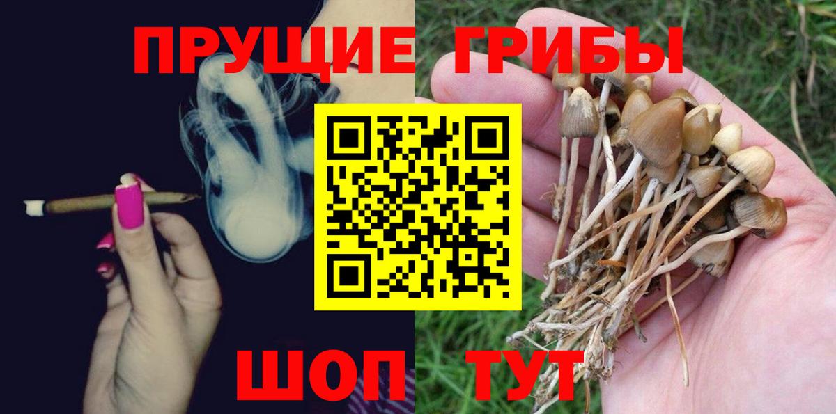Псилоцибиновые грибы Cubensis Борисоглебск